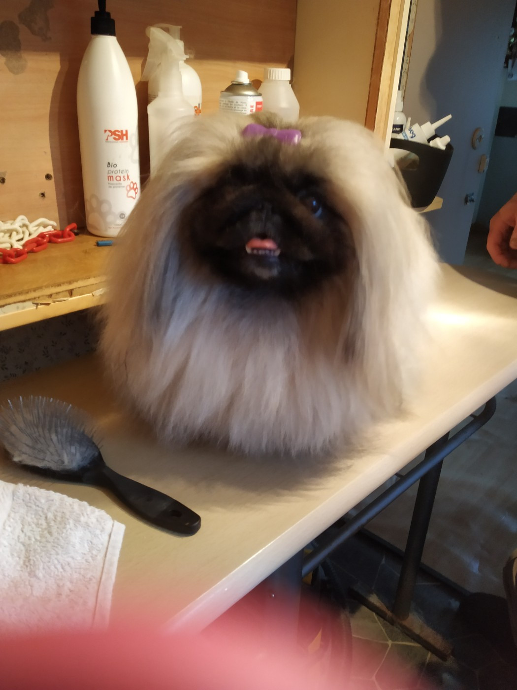 Des P'tits Bouts D'Entrain Romie